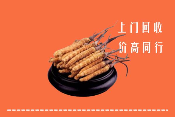 高价求购：龙岩回收散虫草