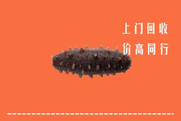 龙岩回收海参