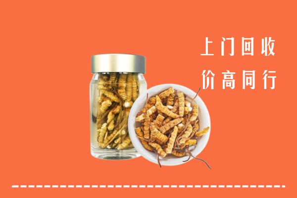 龙岩回收冬虫夏草